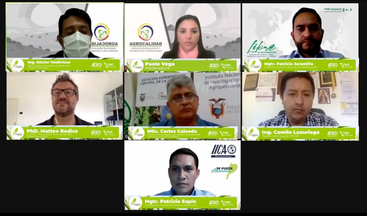 En este momento estás viendo Iniciativas de la región amazónica ecuatoriana para la promoción orgánica