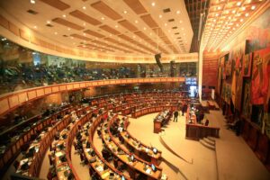 Lee más sobre el artículo Estos son los asambleístas con más ausencias; Guadalupe Llori lidera la lista