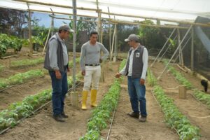 Lee más sobre el artículo <strong>Prefectura impulsa soberanía alimentaria de Palanda</strong>