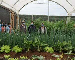 Lee más sobre el artículo SolGold y aliados públicos, inauguran vivero agroforestal para fortalecer la educación ambiental en El Porvenir
