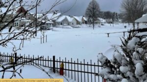 Lee más sobre el artículo Tormenta invernal deja decenas de muertos en Estados Unidos