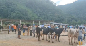 Lee más sobre el artículo Promoción de productos agrícolas y ganaderos en San Carlos de las Minas