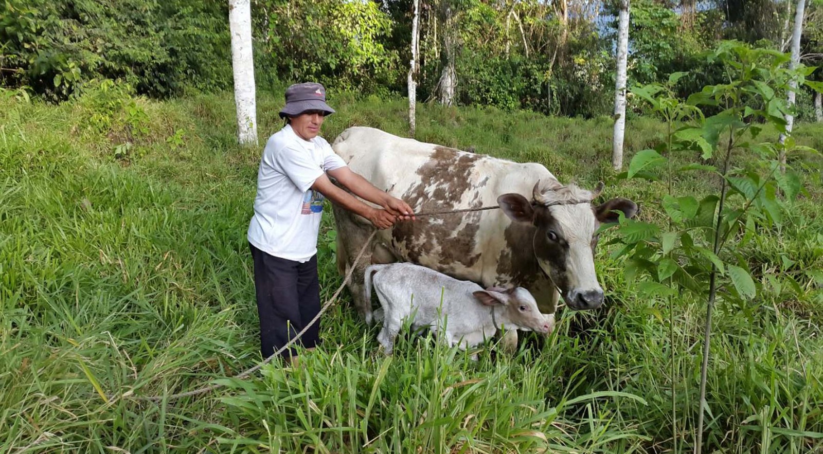 En este momento estás viendo ¿Se puede lograr una ganadería rentable en la provincia de Zamora Ch?