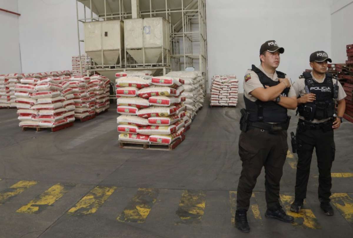 En este momento estás viendo Ecuador importará arroz para cubrir la demanda a partir julio de 2023