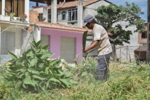 Lee más sobre el artículo Municipio realiza limpieza de lotes baldíos en Yantzaza en cumplimiento de ordenanza