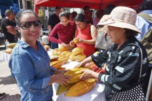 Lee más sobre el artículo Palanda hace eco del ‘origen del cacao’ con la expo feria 2023
