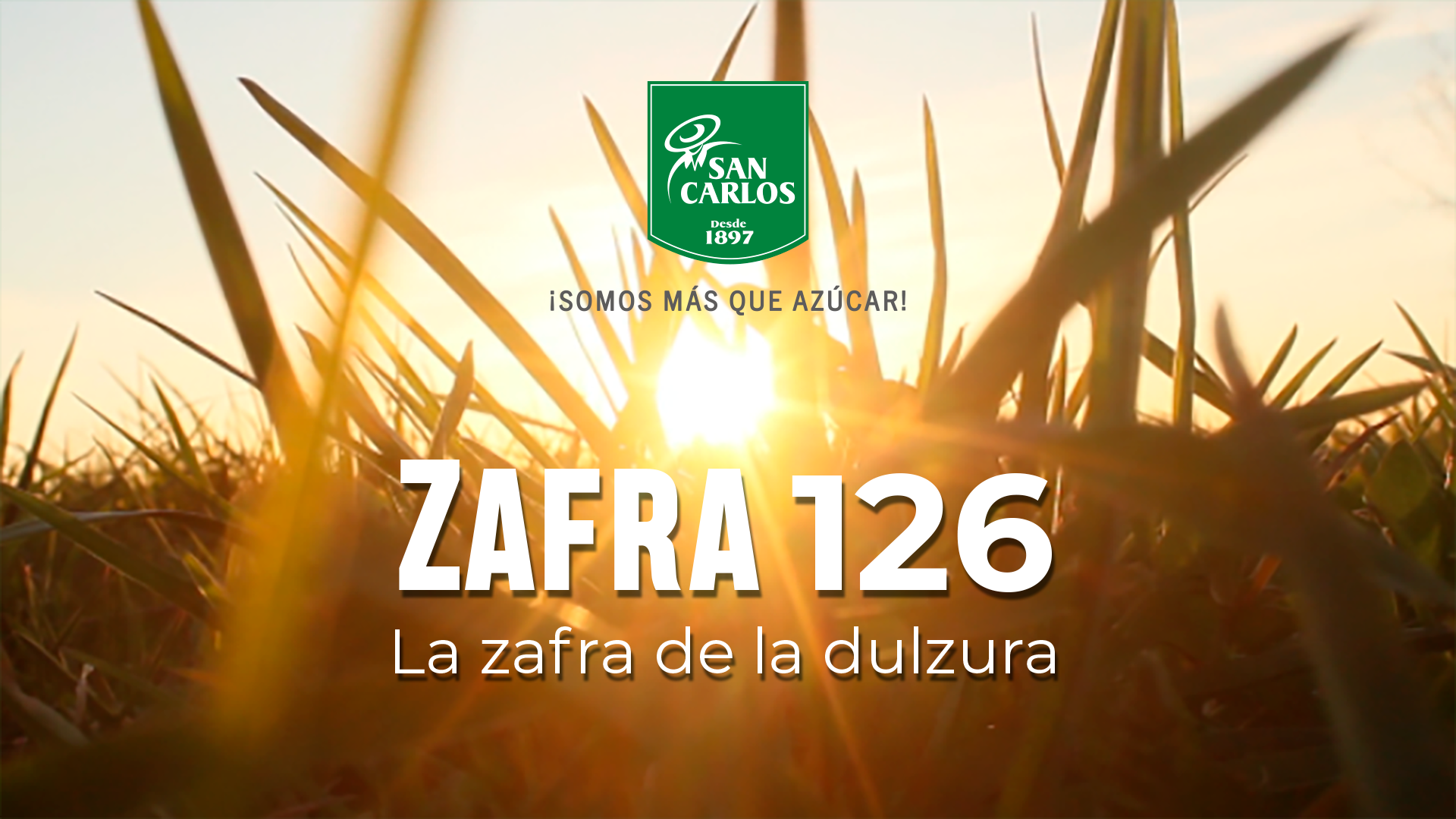 Lee más sobre el artículo San Carlos anuncia el inicio de su tradicional Zafra