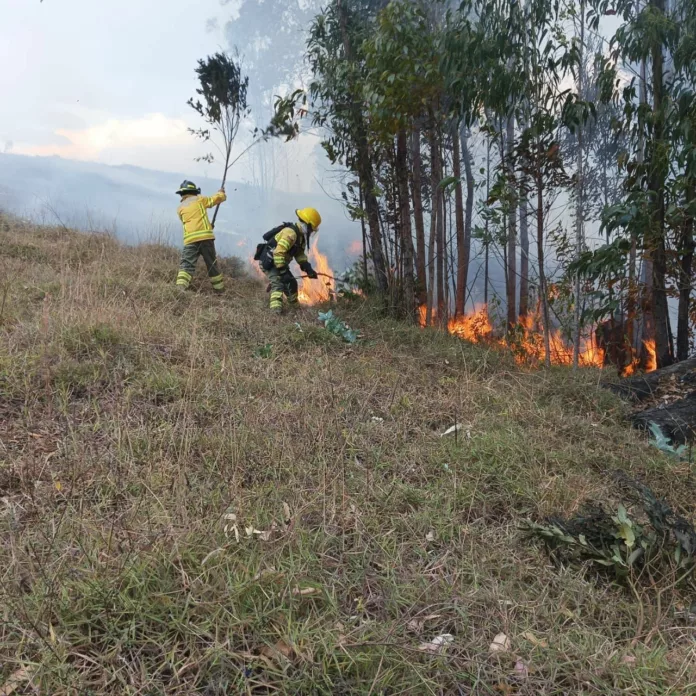 Lee más sobre el artículo Emergencia por devastador incendio forestal en El Cisne