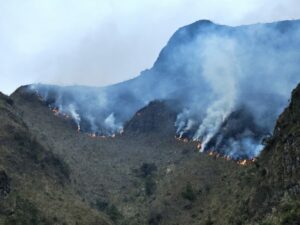 Lee más sobre el artículo Incendio devasta vegetación en Parque Nacional Cajas