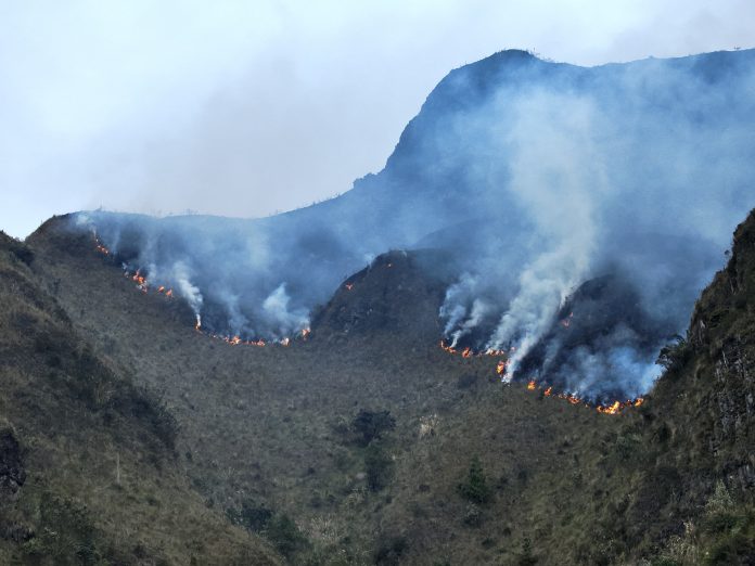 Incendio devasta vegetación en Parque Nacional Cajas