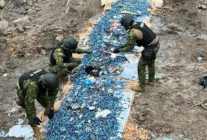 Lee más sobre el artículo Militares destruyen 20.969 explosivos en Tulcán
