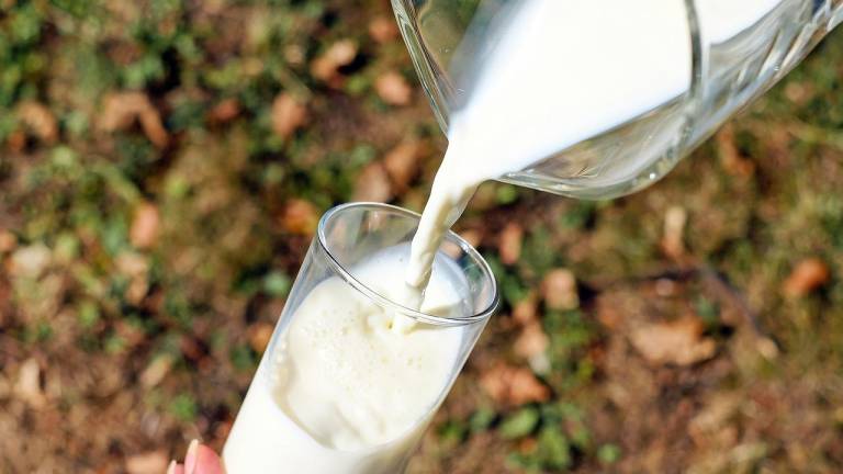 Lee más sobre el artículo ARCSA se pronuncia tras alerta de presunta contaminación de la leche en Ecuador: se trata de un estudio «inconcluso»
