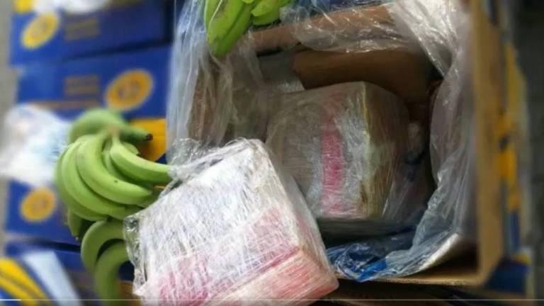 Lee más sobre el artículo Incautan 1.175 kilos de cocaína oculta en cargamento de plátanos de Ecuador en puerto de España