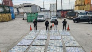 Lee más sobre el artículo Con ayuda de un perro adiestrado, la Policía decomisó una tonelada de cocaína en Guayas con destino a Bulgaria