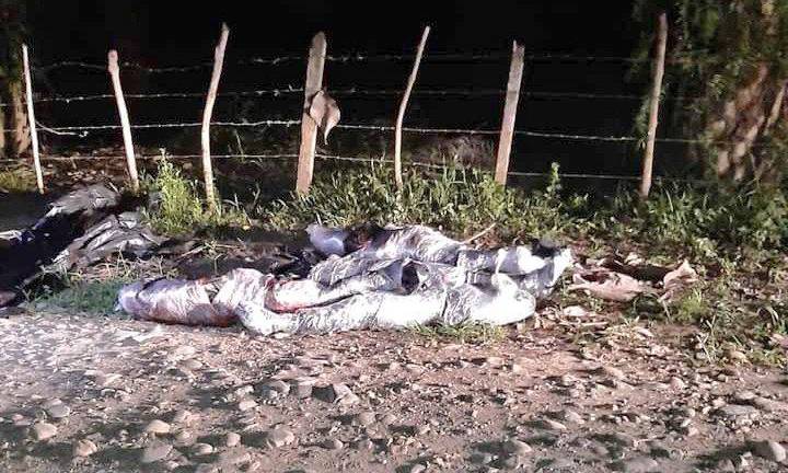Lee más sobre el artículo Cuatro jóvenes fueron asesinados y embalados en la vía Palenque-Vinces