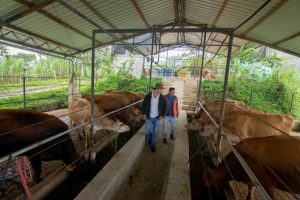 En Centinela del Cóndor, le apuestan a la ganadería sostenible