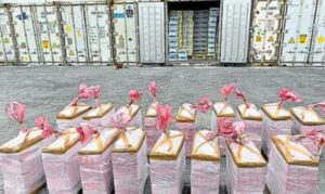 Lee más sobre el artículo Bandas delictivas pequeñas unen las cargas de droga en puertos 