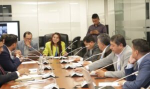 Lee más sobre el artículo Dos comisiones podrían viabilizar proyectos económicos urgentes