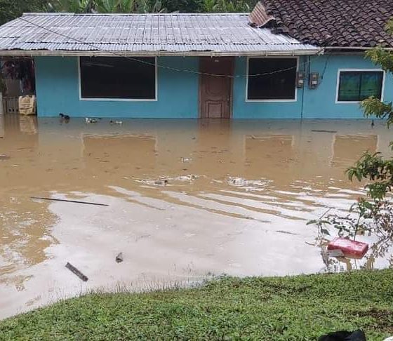 Protección de los Derechos de los Habitantes Afectados por el Cambio de Morfología del Río Zamora