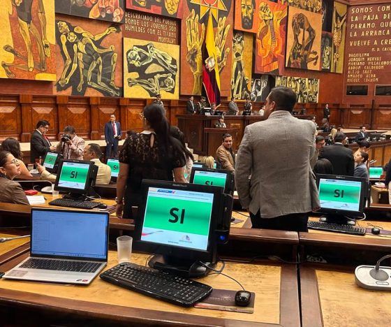 Correísmo, Construye, PSC y Pachakutik votan a favor de seguir con el juicio político contra la ministra del Interior, Mónica Palencia
