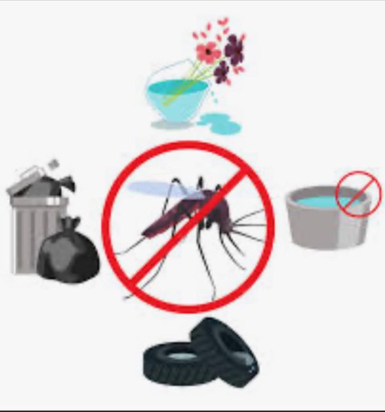 Zamora Chinchipe refuerza la lucha contra el dengue: Juntos eliminamos el Aedes aegypti