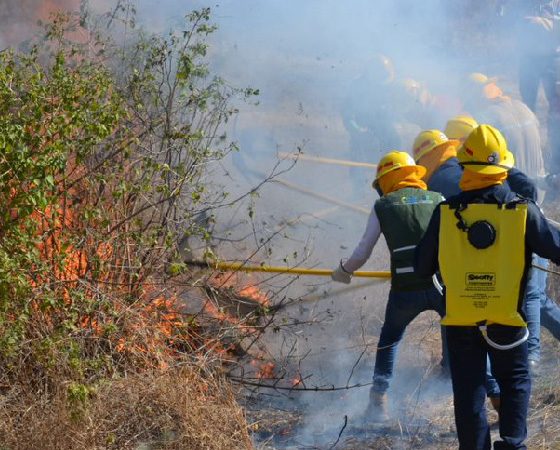 De la innovación global a la acción local: fortaleciendo capacidades en Loja para la prevención y control de incendios forestales