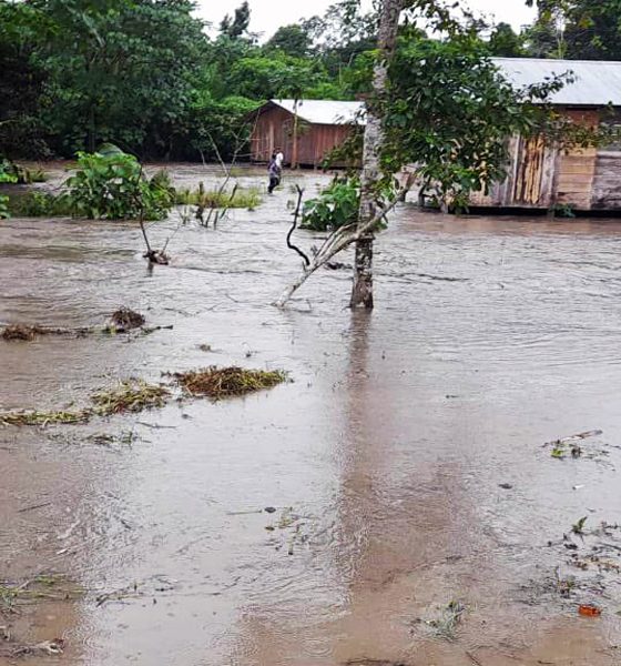 Emergencia se amplía a 12 provincias por lluvias: van 44 muertos y más de 170.000 afectados en Ecuador