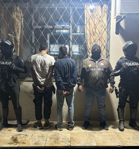 Violento homicidio sacude el corazón del Valle de las Luciérnagas