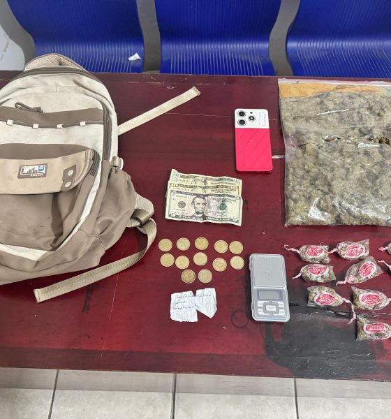 Marihuana, dinero y balanza digital: Policía desmantela presunto punto de microtráfico en Zamora Ch.