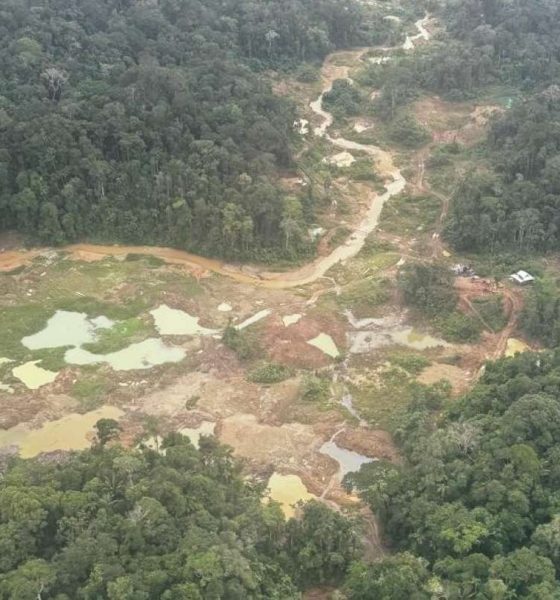 Ejército desmanteló 12 campamentos irregulares en Alto Punino
