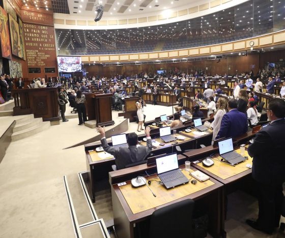 Un inicio movido: lo que dejó el primer mes de la Asamblea entre leyes, expulsiones, deserciones y sanciones