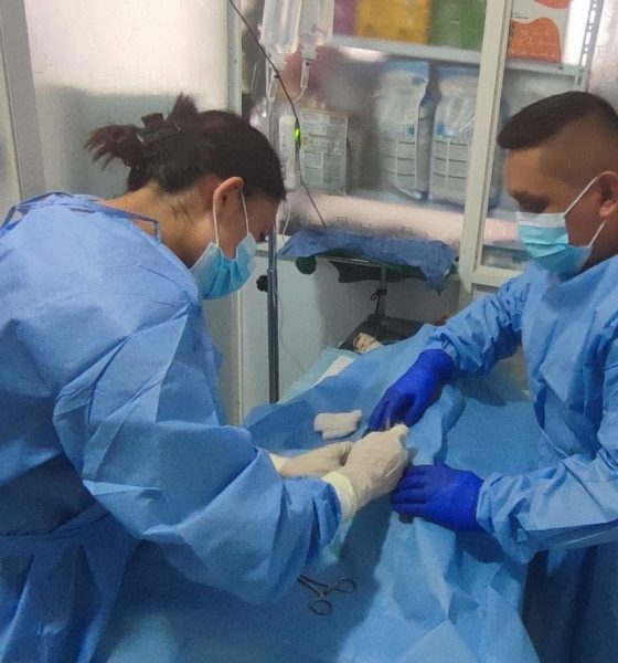 Municipio de Zamora promueve políticas públicas de protección animal con jornada masiva de esterilización gratuita