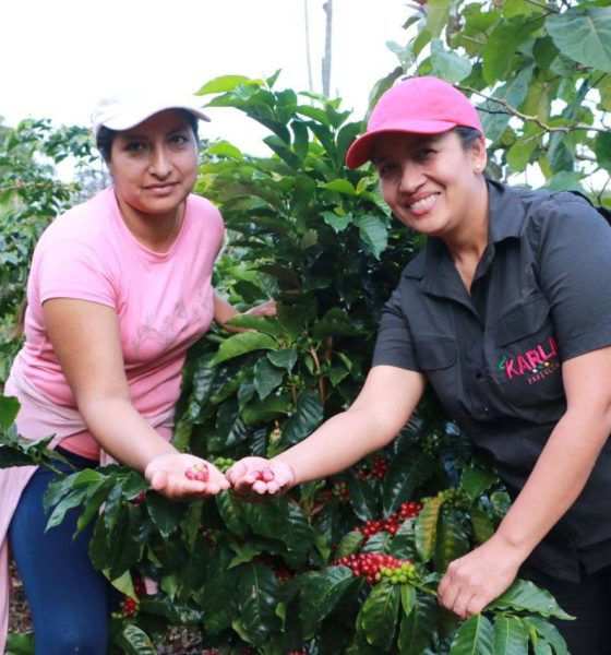La Prefectura impulsa cafés especiales y producción sostenible en la parroquia Chito