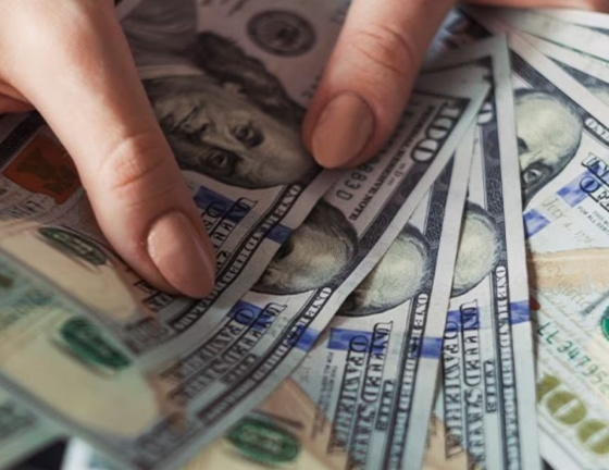 Noboa incluye nuevo impuesto a las utilidades empresariales en su cuarto proyecto económico urgente: así se aplicaría