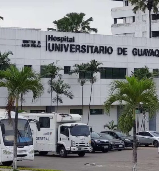 Ministro de salud confirma 12 muertes neonatales en Guayaquil y descarta cifra de 18 casos