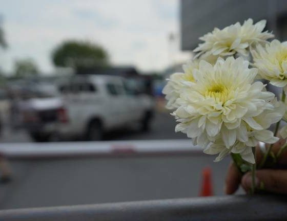 Ataques en Guayas y El Oro dejan a nueve personas asesinadas en un solo día