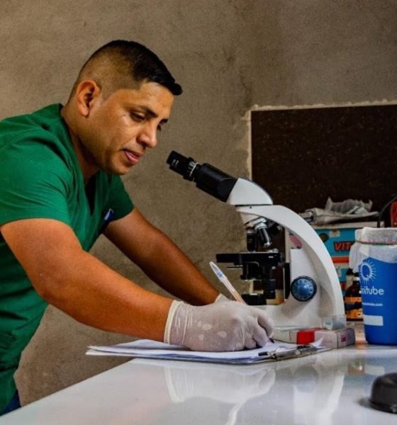 Manejo técnico y nutricional del cuy, una tradición con potencial productivo en Zamora Chinchipe