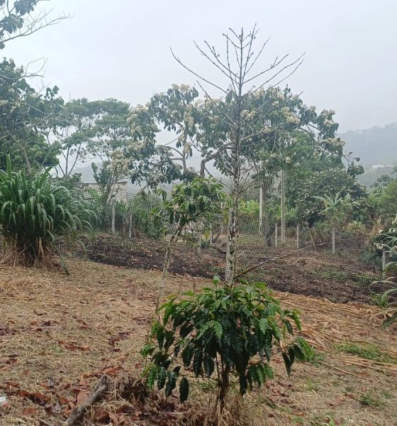 Alerta sobre ocupación del terreno destinado para la construcción del nuevo Hospital de Zamora