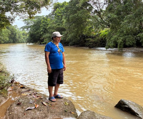 Peces deformes, niños con ronchas y muertes, así cambió la vida en Capirona, por la minería ilegal en Napo