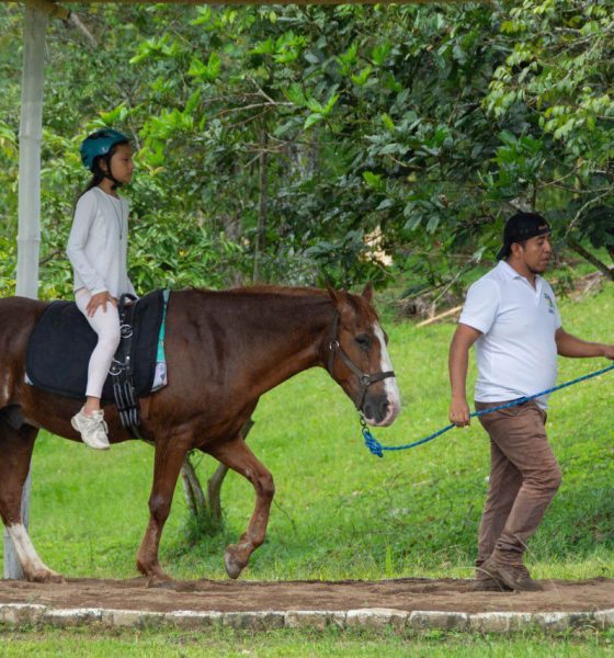 Equinoterapia beneficia a 67 niños y adolescentes en Zamora Chinchipe